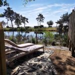 mobile home cap ferret